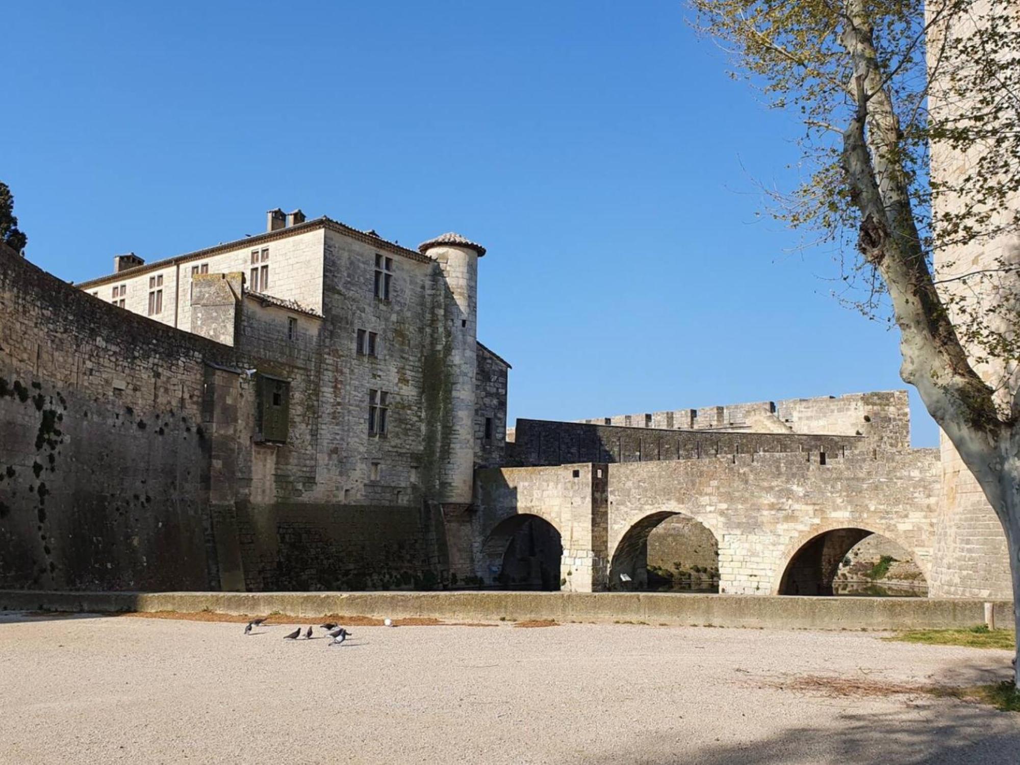 Maison Cosy, 2 Chambres, Adossee Aux Remparts Aigues-Mortes Buitenkant foto
